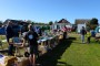 Thumbs/tn_Onderdelenmarkt op De Strandwal 006.jpg